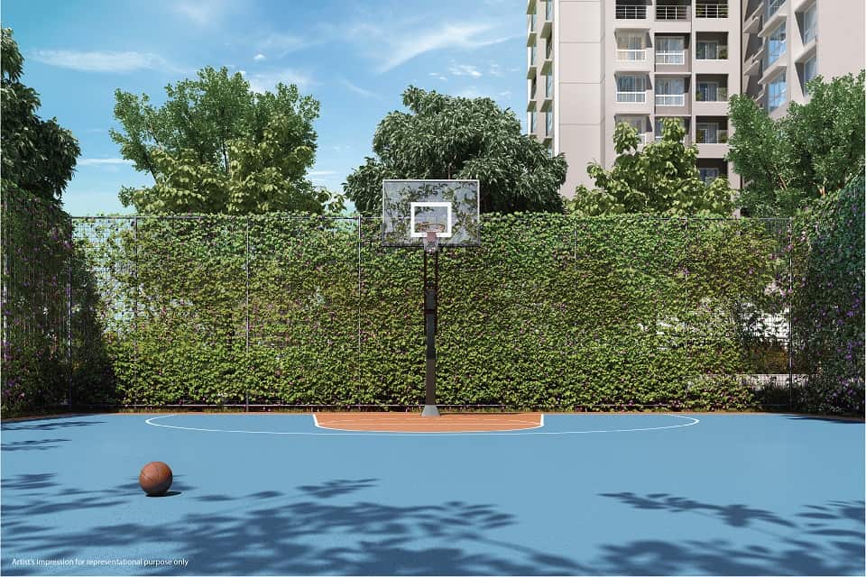 Basket ball Place